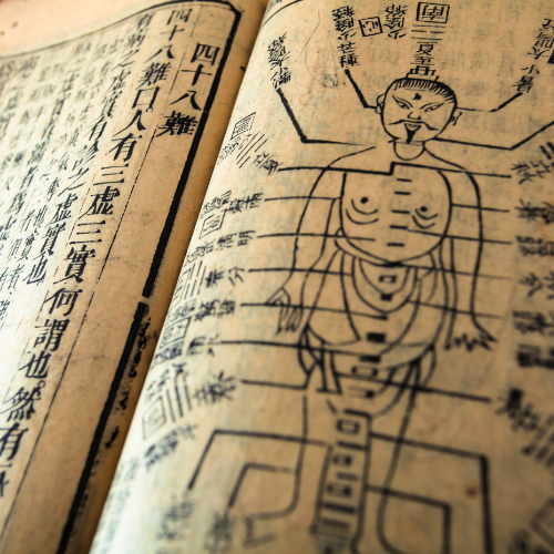 Medicina Tradicional Chinesa – Fundamentos